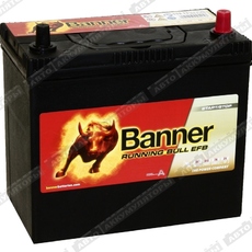 Banner Running Bull EFB 555 15 (B24L) - Шины и диски